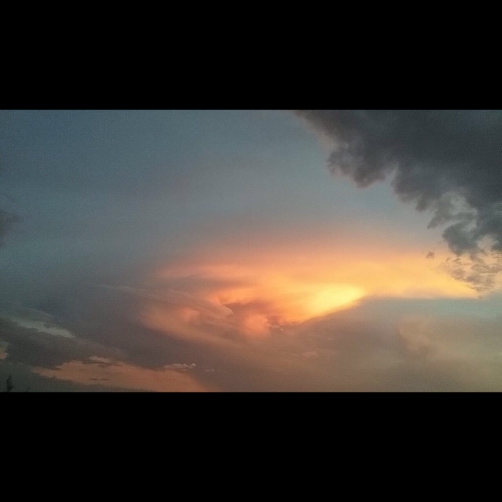 Meet your Posher, Kylee